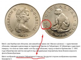 Самые интересные и красивые животные Европы (пост№2)