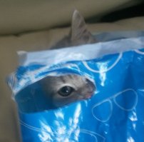 Мой