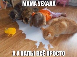 30 позитивных картинок, которые скрасят ваш рабочий день
