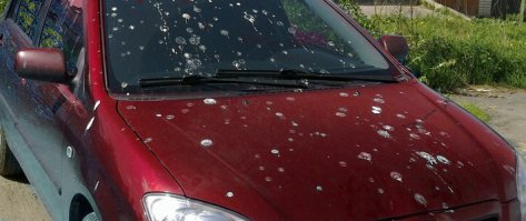 Крошечные птичьи домики-кормушки: внутри как настоящие!