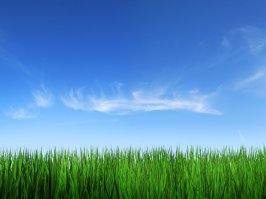 Может потому что это красиво. Хотя смотря кто фоткает.