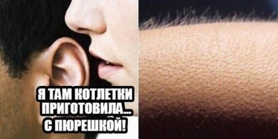 Прикольные картинки