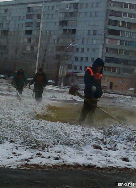 Косить траву под снегом... тупым американцам до такого явно не додуматься.