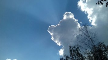 Наш Винни, озеро Кирпичное, недалеко от аэропорта Внуково