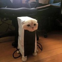 Что-то пошло не так.