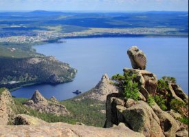 А ещё я там морскую свинку нашёл:)