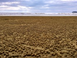 Хочу поделиьтся явлением из личной коллекции!!)))))