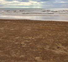 А вот так это выглядит с другого ракурса! Это крабики роют норки и вытаскивают песок аккуратными шариками!)))