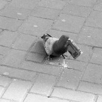 Есть ещё и мажоры)