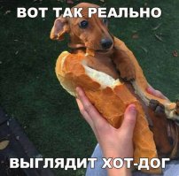 Килограммы милоты: пушисто, мохнато, прекрасно! Да еще и...съедобно?!