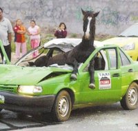 Феррари разве бывают зеленые???