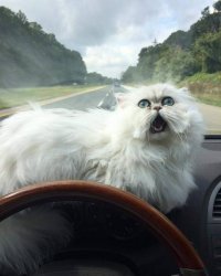 Вперёд смориии! :)