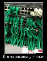 -Рубим кабельтовые. Теперь я вольный пират!!!