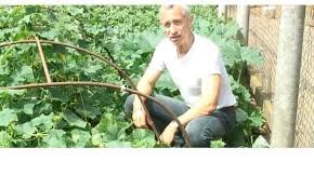 Универсальные лекари