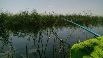 лет с 12 батя на охоту начал брать!сейчас ,конечно ,редко выбираюсь.но каждый раз-это КАЙФ!!!рыбалка-для души!