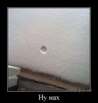 Снегом нас не победить