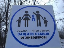 Картинки с надписями