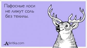 Субботнее настроение