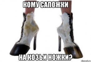 Хозяйка вылечила невроз у козы с помощью маскарадного костюма