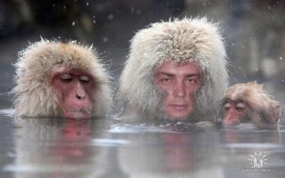 Вообще то неплохо