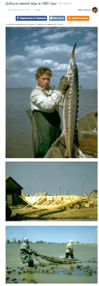 Аутор поменял местами пару фото и изменил название в топе. Креативщик, чё скажешь