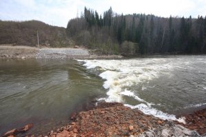 1. Энергетическая ценность рыбы - от 100 до 300 килокалорий на 100 грамм, нежирного мяса - от 150 до 250. Где разница?
2. "Красная рыба", если Вы имеете в виду тихоокеанских лососей, уже 40 с лишним лет назад акклиматизирована в Российских реках беломорского бассейна. Сперва на рыбзаводах, потом появились и дикие стада. Первыми на Западе это просекли норвежцы и организовали её разведение на своих рыбзаводах. 
3. Подводный переход газопровода (дюкер) в идеале - это глубокая траншея в дне реки, в которой труба придавлена бетонными или чугунными блоками и сверху засыпана грунтом. (первый рисунок). На течение реки он в этом случае не влияет вообще никак.
В худшем случае, если нет возможности прорыть глубокую траншею (скала) или строители схалтурили, то образуется обычный речной перекат.
На втором фото - знаменитый перекат на дюкере в Пермском крае, река Вильва, на котором каждое лето тонет несколько пьяных "туристов" (автор фото - Леонид Сапунков). На третьем фото - дюкер на Дону в районе станицы Сиротинской (автор  Владимир Алексеевич Браташов). Если приглядеться, перекат есть.
На четвёртом - обычный лесной завал на реке в Пермском крае, рыба такие проходит не останавливаясь.
И вообще, рыбы семейства лососёвых прыгают из воды с места на 3 метра вверх. В Карелии лосось поднимается даже по 10-метровому водопаду Кивач. Что им какой-то порожек в полметра.