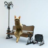 Пассажиры самолёта готовились ко взлёту. Человек, стоявший у взлётной полосы, привёл всех в ужас!