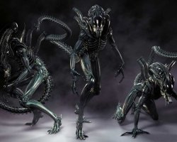 Ну что за сю-сю-сю!? А этих кто полюбит -

?