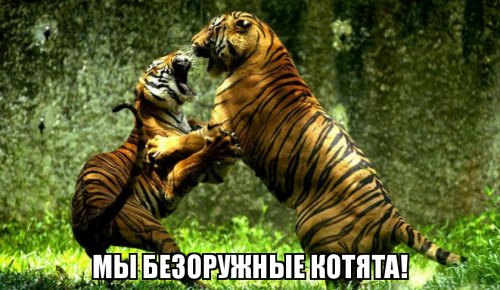 Эти невероятные факты перевернут ваши представления о мире!