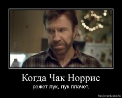 15 фактов о Чаке Норрисе, которые заставят вас поперхнуться!