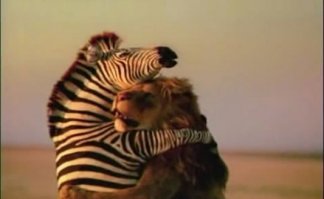 Львенок встречает хозяина