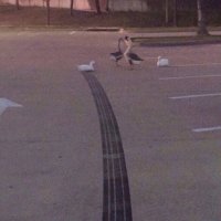 АБС не сработал.