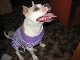 Красота.
Вот наша