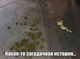 Ты целуй меня везде, 18 мне уже!