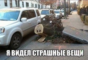Лауреаты Премии Дарвина
