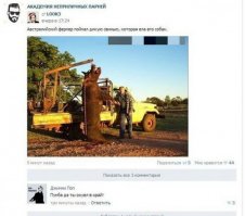 Царь зверей потерял зуб после схватки с львицей