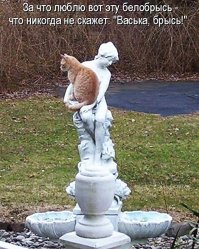 Собаки и другие друзья человека