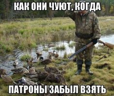 дык, ты прикладом их гадов! прикладом! :)