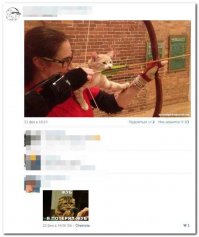 Царь зверей потерял зуб после схватки с львицей