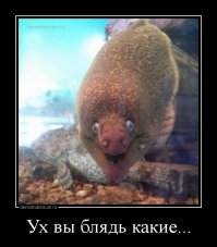 Ты целуй меня везде, 18 мне уже!