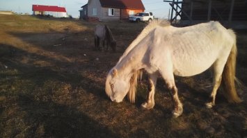 Русское село, заживо погребенное под песчаными дюнами