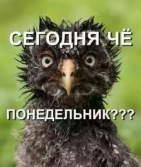 Немножко анекдотов, чтобы разбавить понедельник