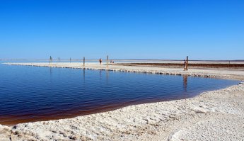 Баскунча́к — солёное озеро, имеющее площадь около 106[1] км² в Ахтубинском районе Астраханской области, географические координаты — 48°10′ с. ш. 46°53′ в. д. (G) (O) (Я), примерно в 270 км к северу от Каспийского моря, и в 53 км к востоку от Волги. Располагается на территории Богдинско-Баскунчакского заповедника. 
В озере Баскунчак никто и ничто не живет, даже бактерии. Соль и грязь озера полезные, но чтобы лечить людей, воду разбавляют в 100 раз. В озере добывают 37 % фасованной соли, большинство которой используют в химической промышленности: в изготовлении моющих средств и пластмассы.
Озеро Баскунчак — самое соленое озеро в мире! Утонуть там просто невозможно! Можно спокойно лежать на поверхности. Короче, Мертвое море отдыхает...