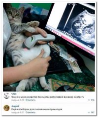Кот тоже в ахере.