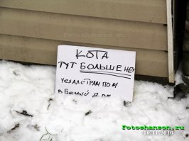 Смешные объявления на аукционах и не только