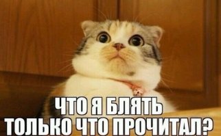 А мы своему ребёнку ничего не запрещаем… или Как вырастить дегенерата