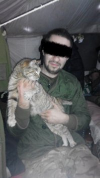 у нас такая кошка жила.