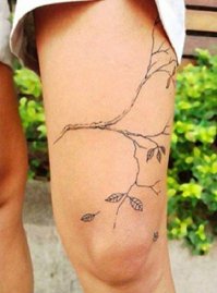 Варикоз штоль закрашивали....