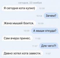 В Канаде мошенники бреют котят и продают их как породистых сфинксов