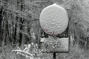 Ну у нас половина страны живет в условиях 6-ти месячной зимы =) И в этих регионах случай с нечитаемостью знаков из-за погодных условий - явление распространенное, особенно на междугородних трассах.